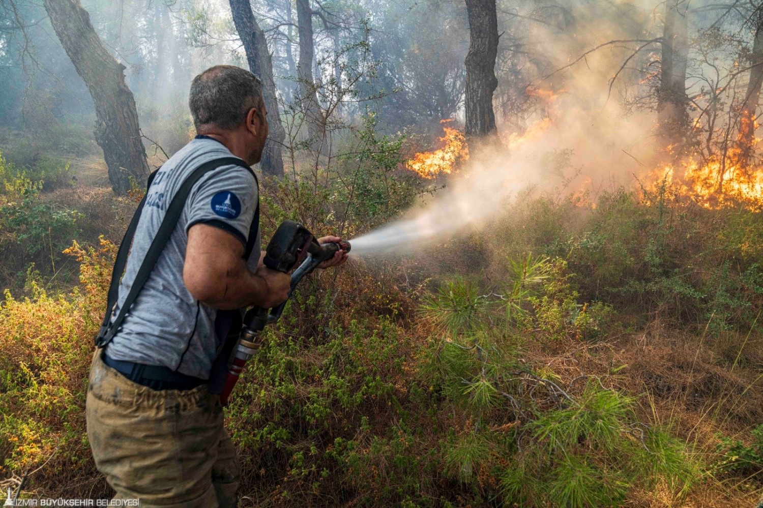 Aynı bölgede ikinci orman yangını